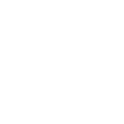Peritus Logo | Secondary Logo | Peritus